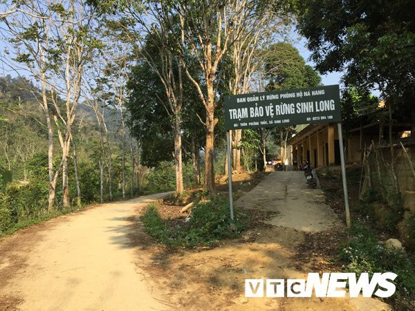 Lạ Tuyên Quang: Cả làng vào rừng đào củ đắt như vàng ròng, 300 triệu/kg Lạ Tuyên Quang: Cả làng vào rừng đào củ đắt như vàng ròng, 300 triệu/kg