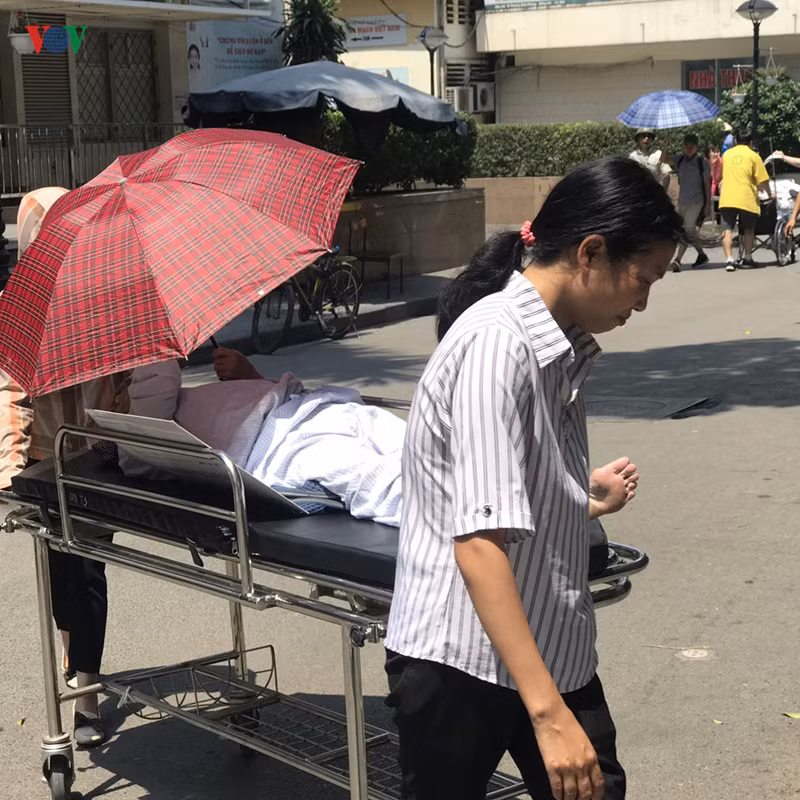 benh nhan, nguoi nha lao dao vi cai nang nhu do lua o ha noi hinh 9