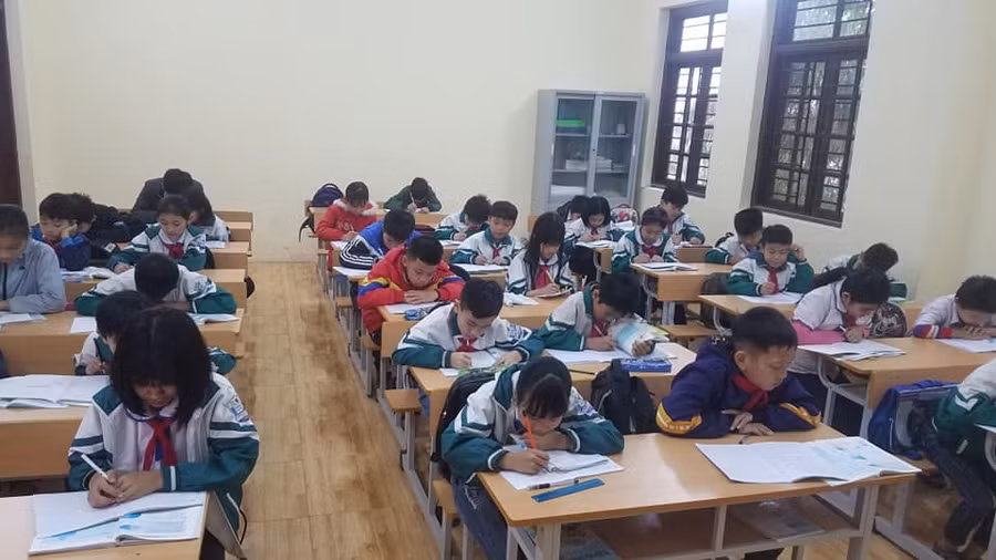 Đây chính là lớp học mà chú chim lợn bay nhầm chỗ.