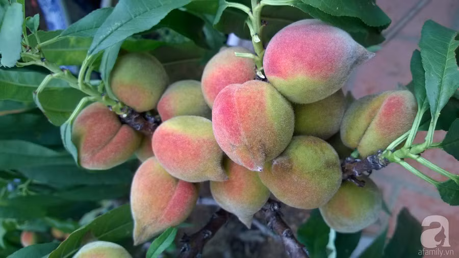 img20170711085715593 img20170711085715593