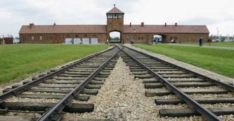 Thoát khỏi Auschwitz