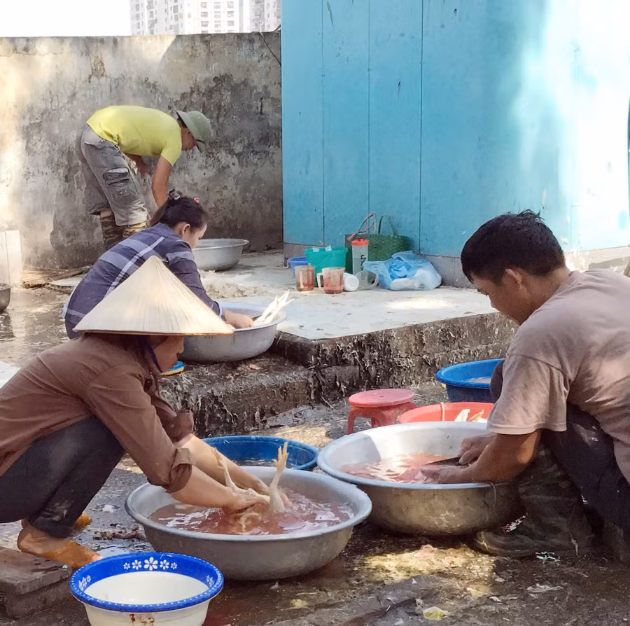 Một chậu nước dùng giết thịt hàng chục gia cầm