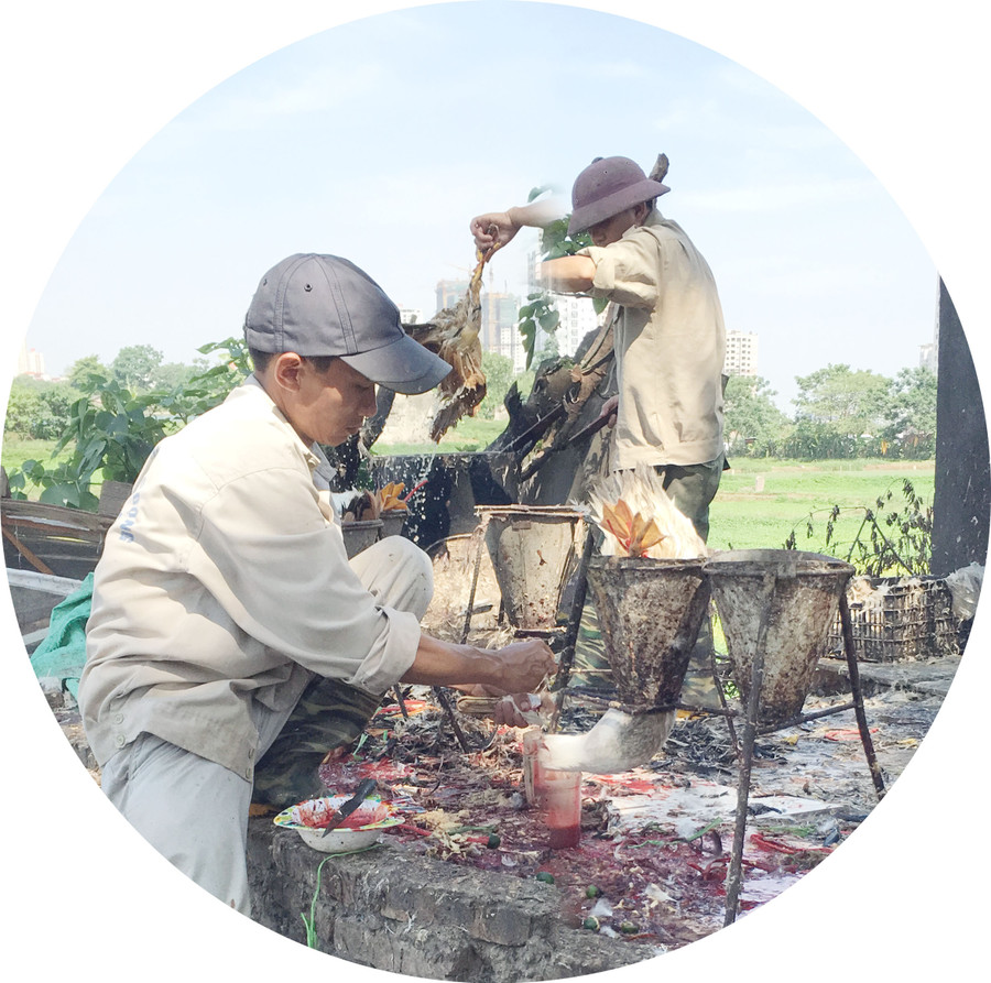 Kinh hãi cảnh giết mổ gia cầm thủ công Kinh hãi cảnh giết mổ gia cầm thủ công