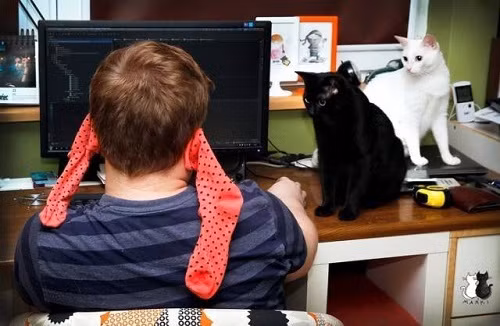 Cách giữ đầu óc thanh tỉnh.