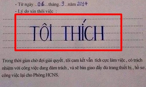 Đơn xin từ chức vợ