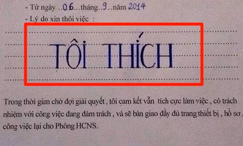 Đơn xin từ chức vợ