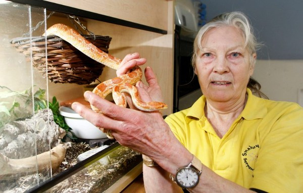 Tuy nguy hiểm rình rập khi nuôi rắn trong nhà nhưng bà Sue nói rằng bà có thể vừa làm việc, vừa khiêu vũ với lũ rắn. Dù loài vật này khiến mọi người ghê sợ những bà sẽ cố gắng làm cho mọi người giảm bớt cái nhìn không mấy thiện cảm với loài rắn cũng như việc làm của bà.