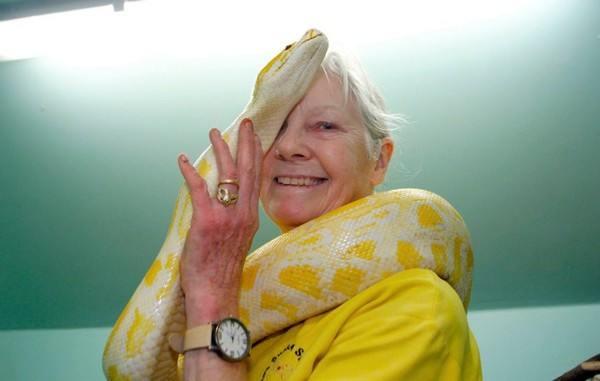 Bà Sue cho biết, những con rắn của bà Sue chủ yếu là trăn thảm, mãng xà, trăn Miến Điện và trăn cầu vồng. Chúng được bà Sue mua từ khắp nơi trên thế giới.