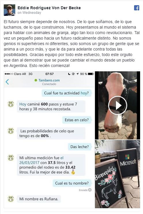 Smartphone giúp người tương tác được với bò Smartphone giúp người tương tác được với bò