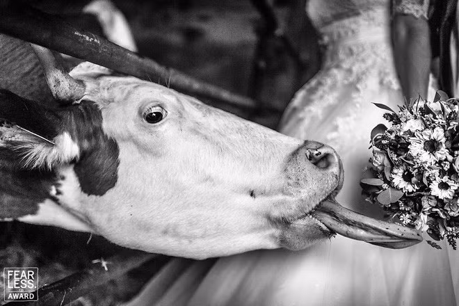 Hãy nhìn vào những bức ảnh cưới đẹp nhất 2018, chúng ta sẽ được trải qua vô vàn cảm xúc! - Ảnh 15.