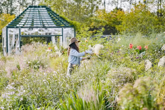 Khu vườn rộng 3000m² đẹp như cổ tích của vợ chồng 40 tuổi quyết định nghỉ hưu sớm về quê tận hưởng cuộc sống - Ảnh 7. Khu vườn rộng 3000m² đẹp như cổ tích của vợ chồng 40 tuổi quyết định nghỉ hưu sớm về quê tận hưởng cuộc sống - Ảnh 7.