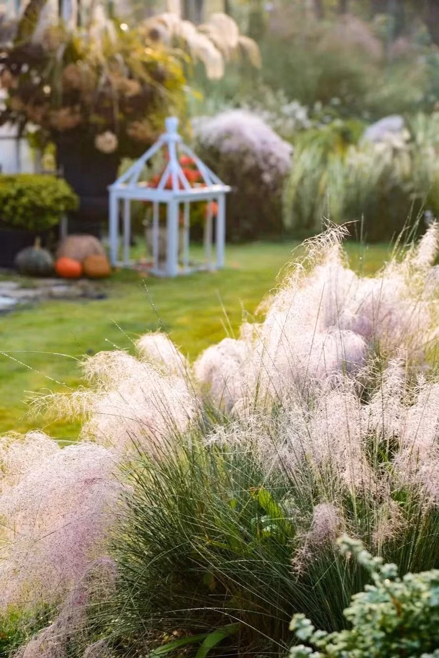 khu vuon 3000m2 cua vo chong 40 tuoi 3 khu vuon 3000m2 cua vo chong 40 tuoi 3