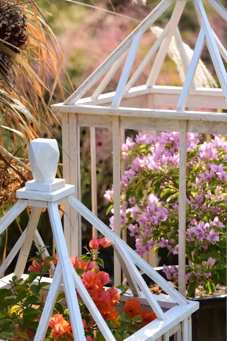 khu vuon 3000m2 cua vo chong 40 tuoi 21 khu vuon 3000m2 cua vo chong 40 tuoi 21