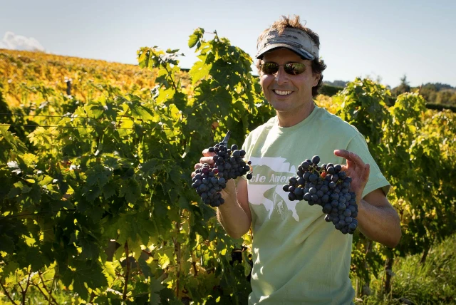 Vườn nho của Greenhough Vineyard - nơi cho ra đời những dòng sản phẩm rượu vang hảo hạng số 1 New Zealand.