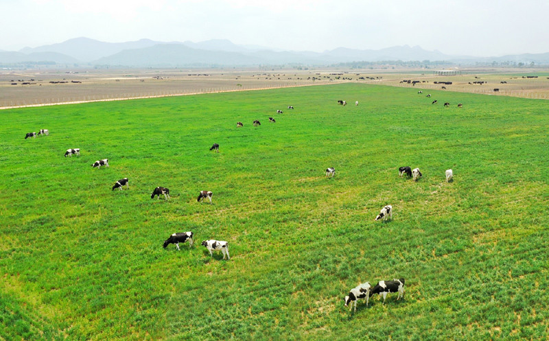 Vinamilk là đại diện duy nhất của châu Á trình bày về xu hướng Organic tại Hội nghị sữa toàn cầu 2019 ảnh 7