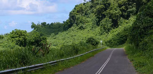 Tài xế xe tải ở Indonesia suýt chết sau khi dùng Google Maps để đi qua vách đá - Ảnh 1.