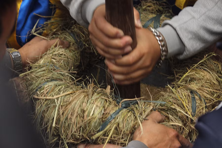 Những nam thanh niên khỏe mạnh được lựa chọn để giã gạo.