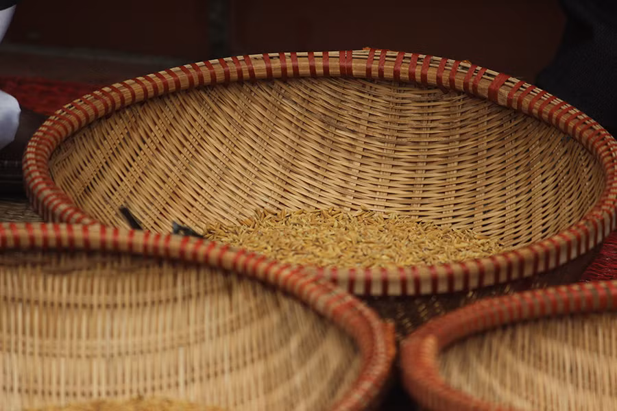 Thóc cũng được Ban tổ chức chuẩn bị cho các đội chơi.