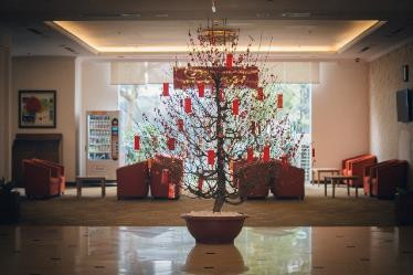 Bước chân mùa xuân đã về gần bên từng căn hộ