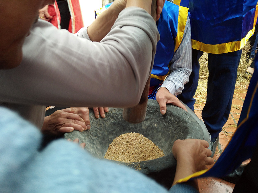 Việc giã gạo làm sao cho hạt gạo không bị vỡ và tách được vỏ trấu. Việc giã gạo làm sao cho hạt gạo không bị vỡ và tách được vỏ trấu.