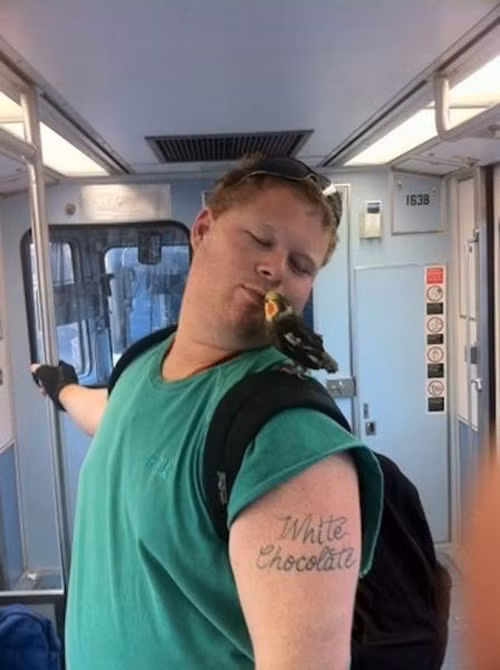 Đôi bạn thân thiết.