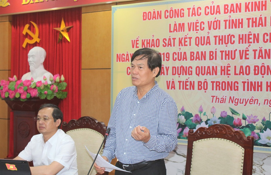 Ông Đỗ Ngọc An, Phó Trưởng Ban Ban Kinh tế Trung ương phát biểu kết luận buổi làm việc.