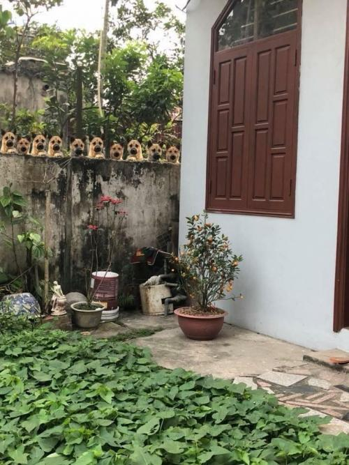 Trộm nhìn em. Trộm nhìn em.
