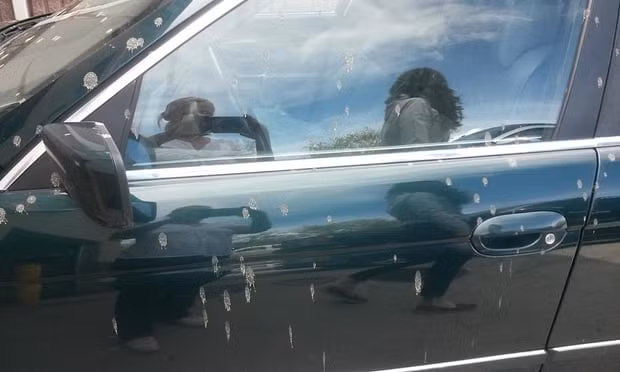 dang cho den do thi phan tu tren troi trut xuong nhu mua hinh anh 1