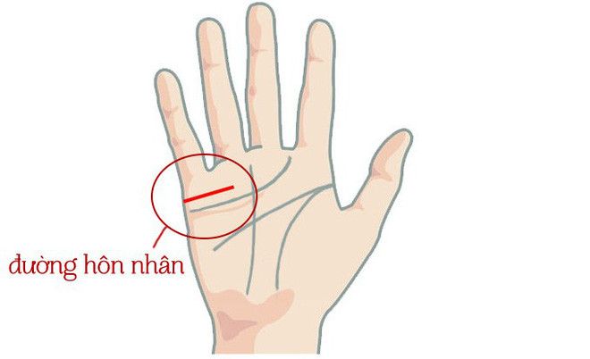 Xòe bàn tay xem hôn nhân của bạn thuận lợi hay nhiều trắc trở - Ảnh 1. Xòe bàn tay xem hôn nhân của bạn thuận lợi hay nhiều trắc trở - Ảnh 1.
