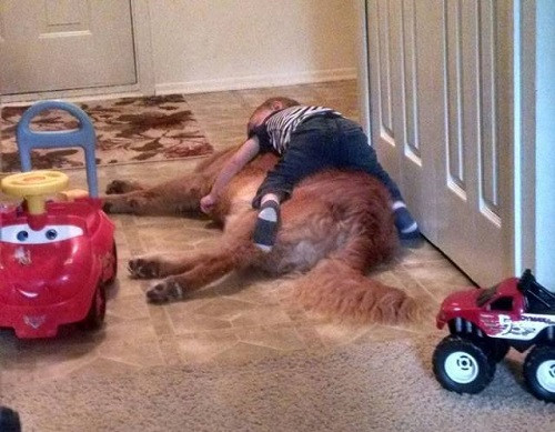 Cùng ăn, cùng ngủ với bạn thân.