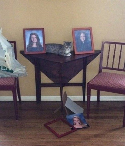 Tránh ra để chị tỏa sáng.