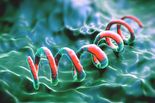 Giang mai là một trong số những bệnh lây truyền qua đường tình dục đáng sợ nhất.