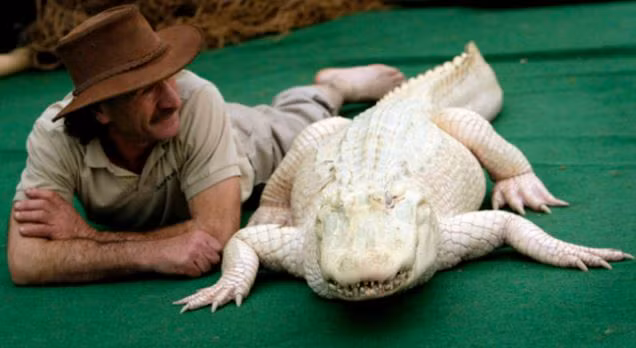 Khi động vật bị bạch tạng, trông chúng sẽ như thế này - Ảnh 16.