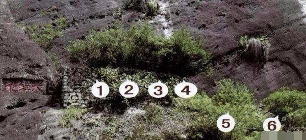 Loại trà đắt nhất thế giới, mỗi kg có giá tương đương một... tòa biệt thự ảnh 2 Loại trà đắt nhất thế giới, mỗi kg có giá tương đương một... tòa biệt thự ảnh 2