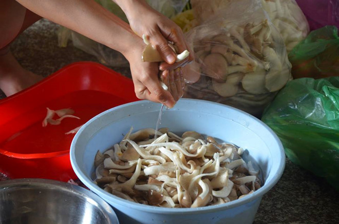 Vạch trần thực hư thông tin 3 người thiệt mạng sau khi ăn mộc nhĩ xào tỏi ảnh 2 Empty