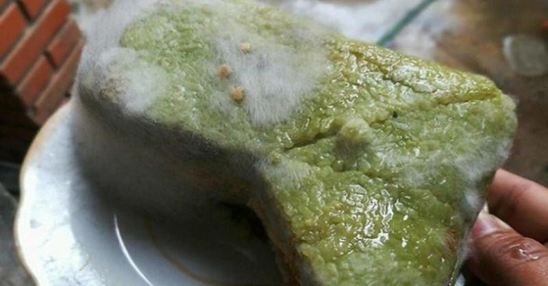 Dấu hiệu cảnh báo nên vứt thức ăn thừa sau Tết trước khi rước độc vào người ảnh 1 nhung dau hieu canh bao ban nen vut thuc an thua sau tet truoc khi tu ruoc doc vao nguoi - 1