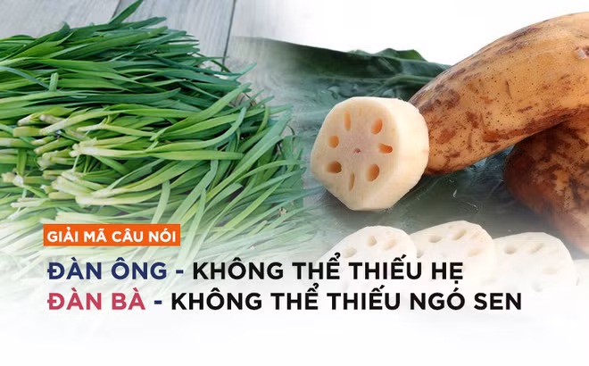 ava-1479439392951-0-0-497-800-crop-1479439411995