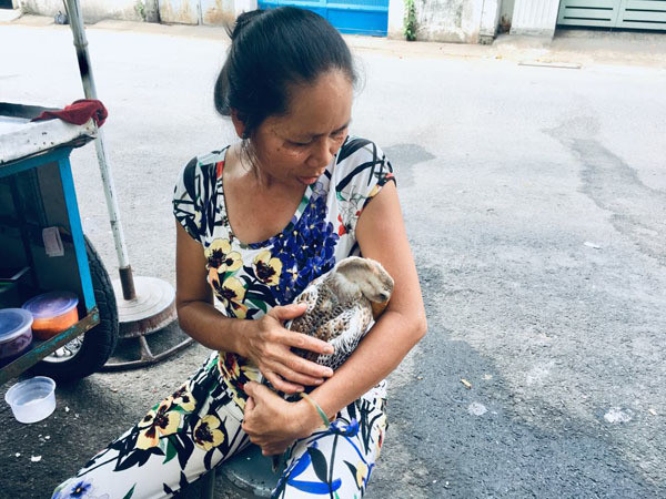 Chị Châu cho biết, tất cả các hình ảnh lúc nhỏ đến giờ của bé vịt, vợ chồng chị đều lưu làm kỷ niệm. Trong ảnh là vịt đang được chị Châu cưng nựng khi lỡ xa "con". Ảnh: T.A. Hiếm muộn 24 năm, vợ chồng Sài Gòn gọi vịt là con, ăn ngủ cùng