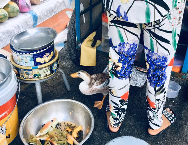 Hiếm muộn 24 năm, vợ chồng Sài Gòn gọi vịt là con, ăn ngủ cùng