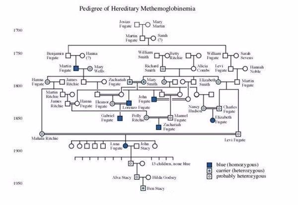 Câu chuyện ly kỳ về gia tộc người ngoài hành tinh có thật 100% ở Mỹ: Cả gia đình màu xanh da trời và lời nguyền đeo bám hàng trăm năm-4