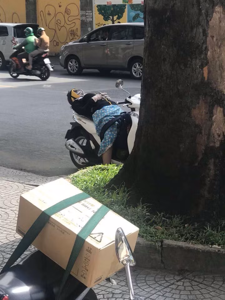 Giấc ngủ vô tư lự của người phụ nữ trong trang phục tránh nắng kinh điển.