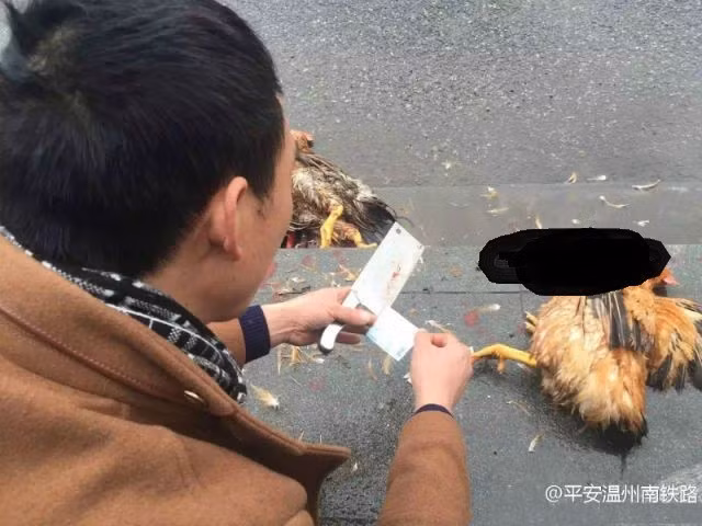 Người đàn ông giết gà ngay tại nhà ga.