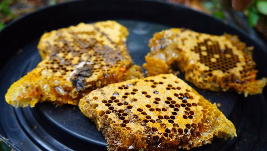 “Tuyệt chiêu” đơn giản để nhận biết mật ong nguyên chất