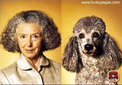 cún cưng,Mậu Tuất,chủ nhân