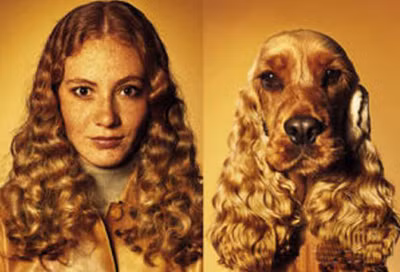 cún cưng,Mậu Tuất,chủ nhân