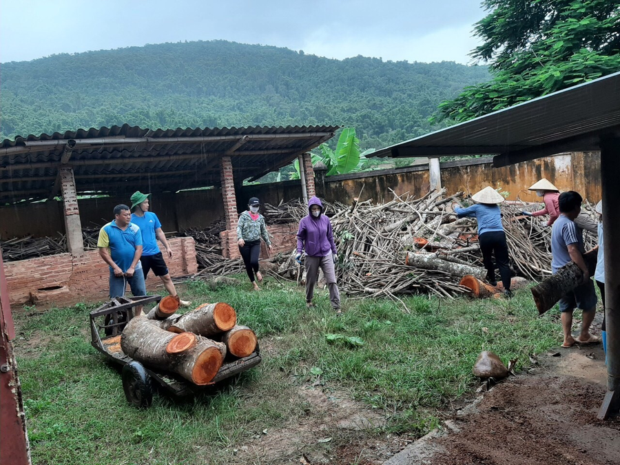 Dự trữ nguồn củi đốt cho năm học...