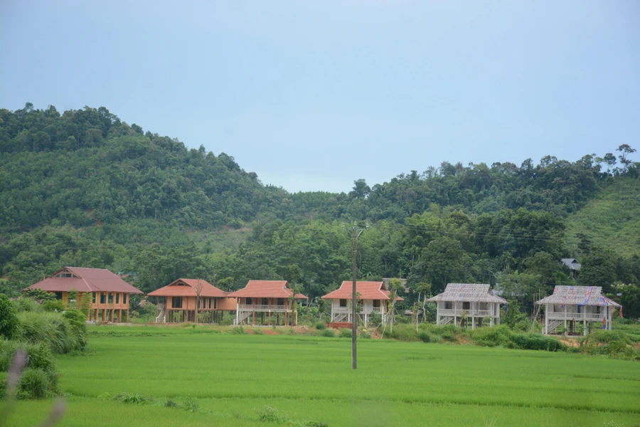 Ngang nhiên xây hàng loạt nhà sàn trên đất nông nghiệp