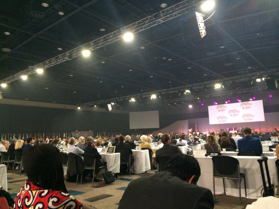 Quang cảnh Hội nghị CITES COP17 tại Johannesburg, Nam Phi.