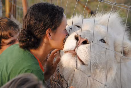 Ve dep la lung, me hoac cua nhung dong vat bach tang - Anh 15