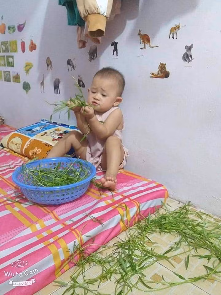 Đảm đang thế này mà sao mặt bố mẹ không được vui?! Ảnh: MXH.